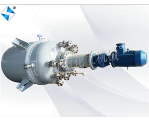 生產(chǎn)型反應(yīng)釜